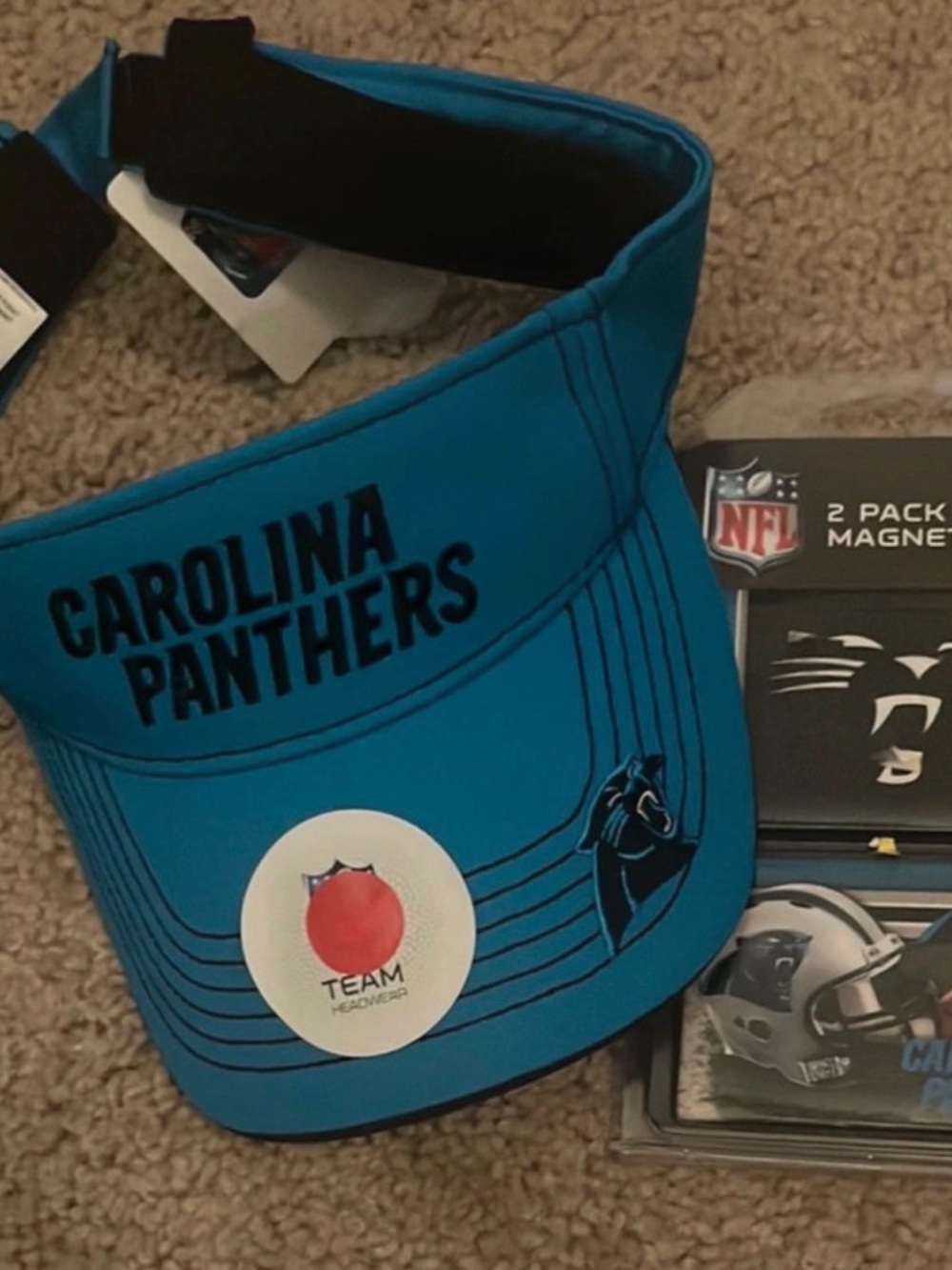 Carolina Panthers Youth Teal Visor - NFL Team Logo
